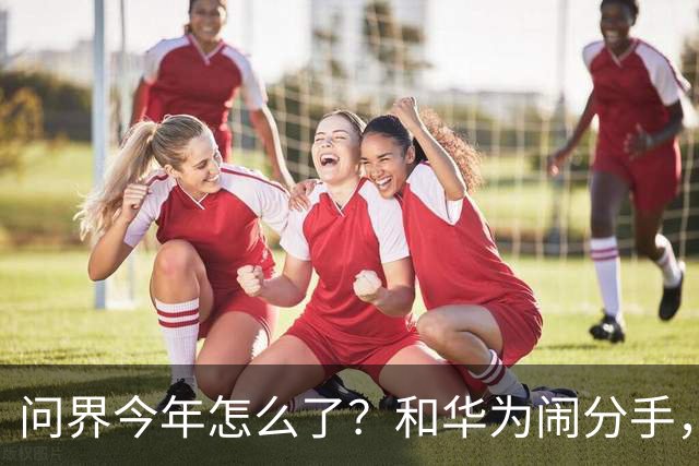 问界今年怎么了？和华为闹分手，出海弃用华为用博士，车主撞车起火！网友：今年不太顺
